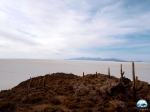 Isla Inacahuasi, Salar de Uyuni, Bolívia